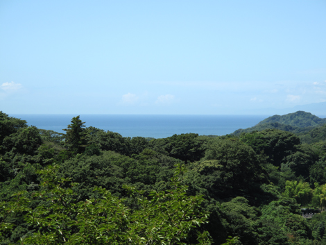 20150715hike (26)